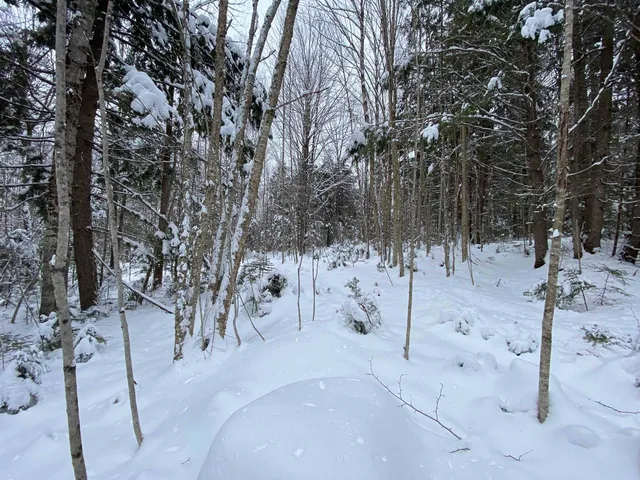 $75,000 | 0 Fall Brook Road, Unit 4, Lyndonville, VT 05851