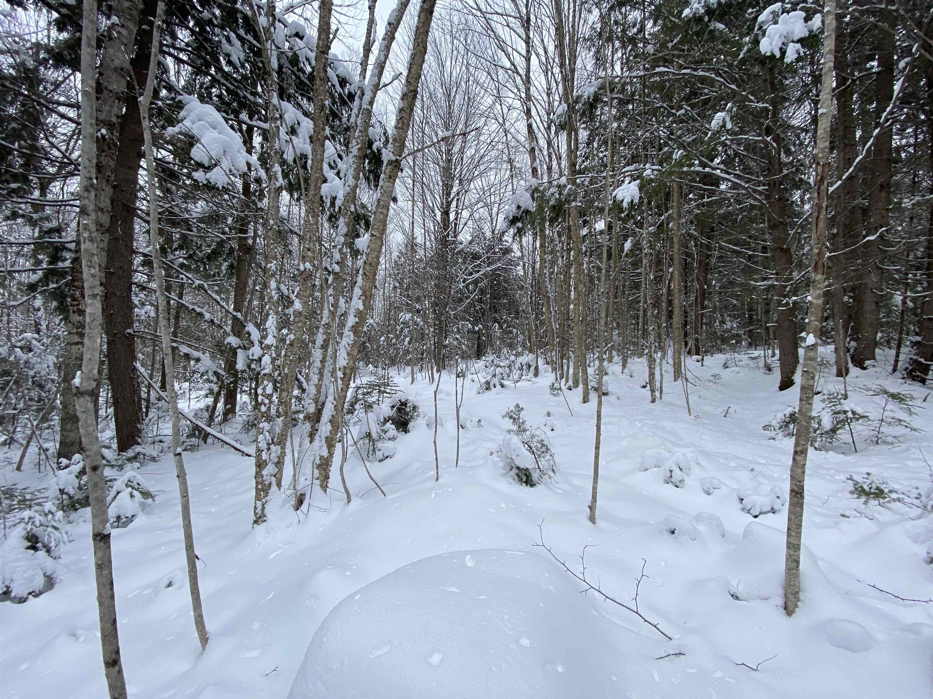 0 Fall Brook Road, Unit 4 Lyndonville, VT 05851 - Photo 5 of 60