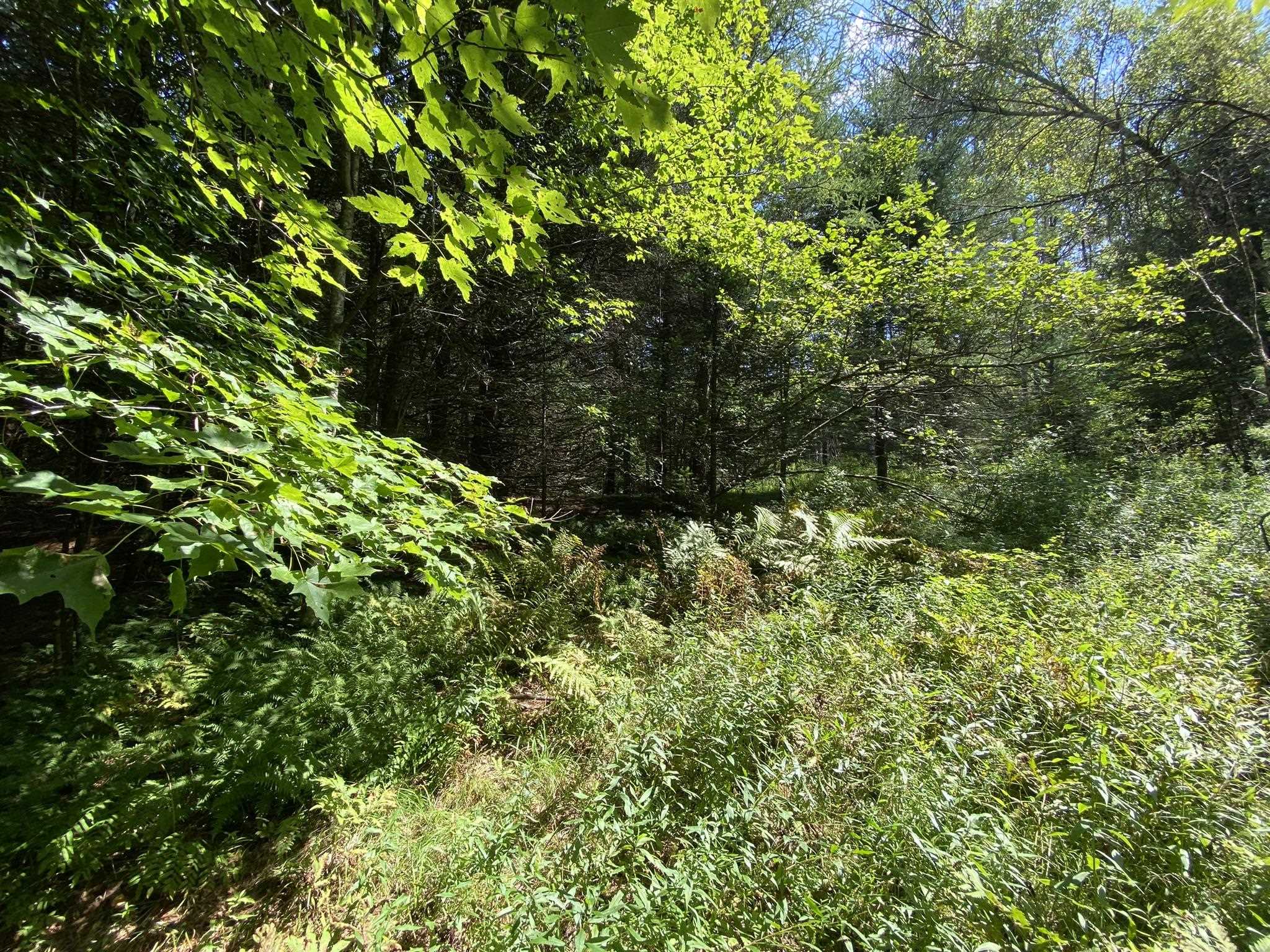 0 Fall Brook Road, Unit 4 Lyndonville, VT 05851 - Photo 51 of 60