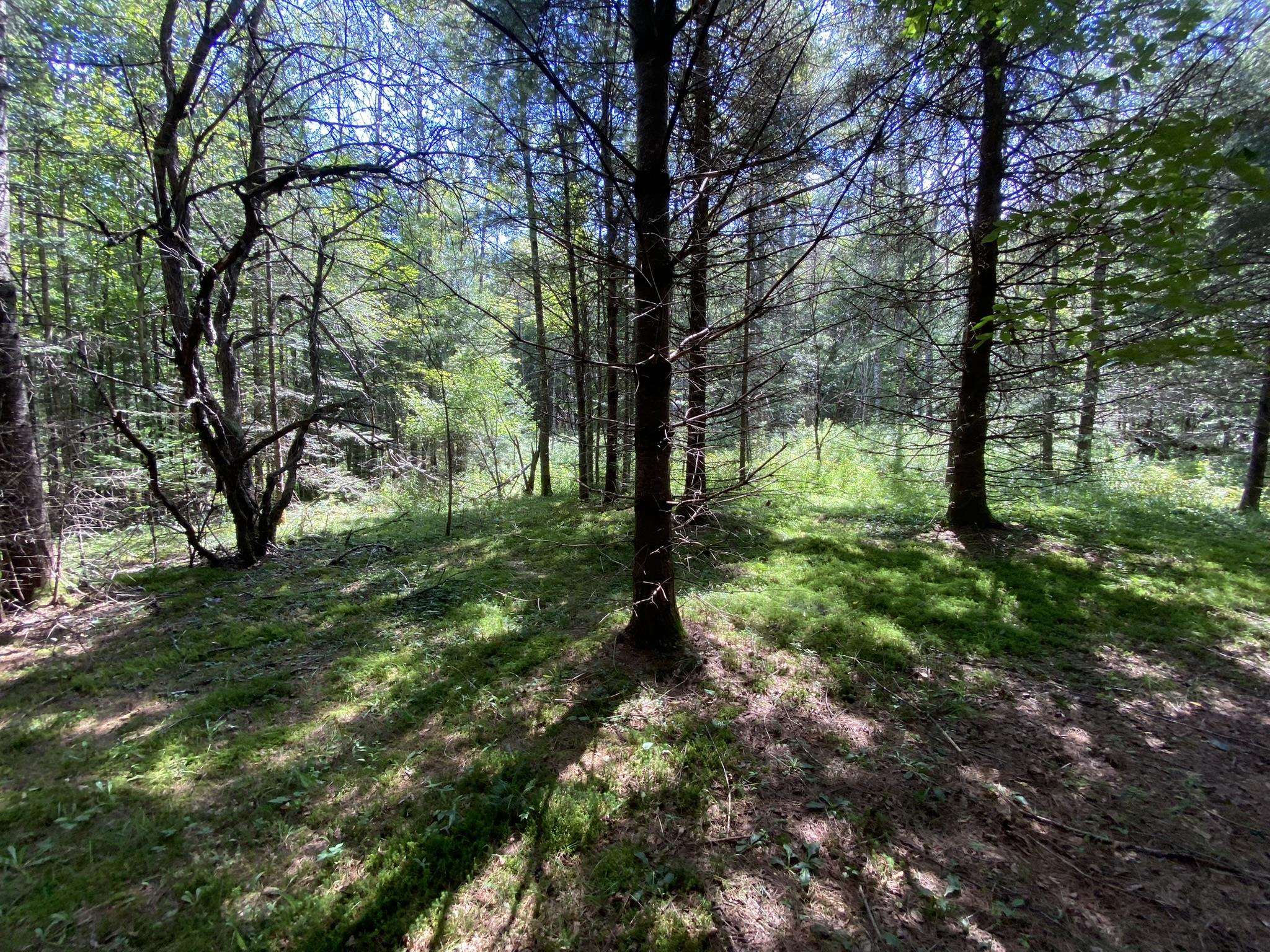 0 Fall Brook Road, Unit 4 Lyndonville, VT 05851 - Photo 52 of 60