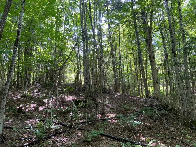 $75,000 | 0 Fall Brook Road, Unit 4, Lyndonville, VT 05851