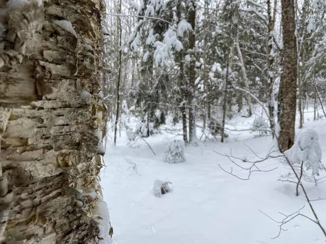 $75,000 | 0 Fall Brook Road, Unit 4, Lyndonville, VT 05851