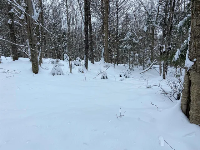 $75,000 | 0 Fall Brook Road, Unit 4, Lyndonville, VT 05851