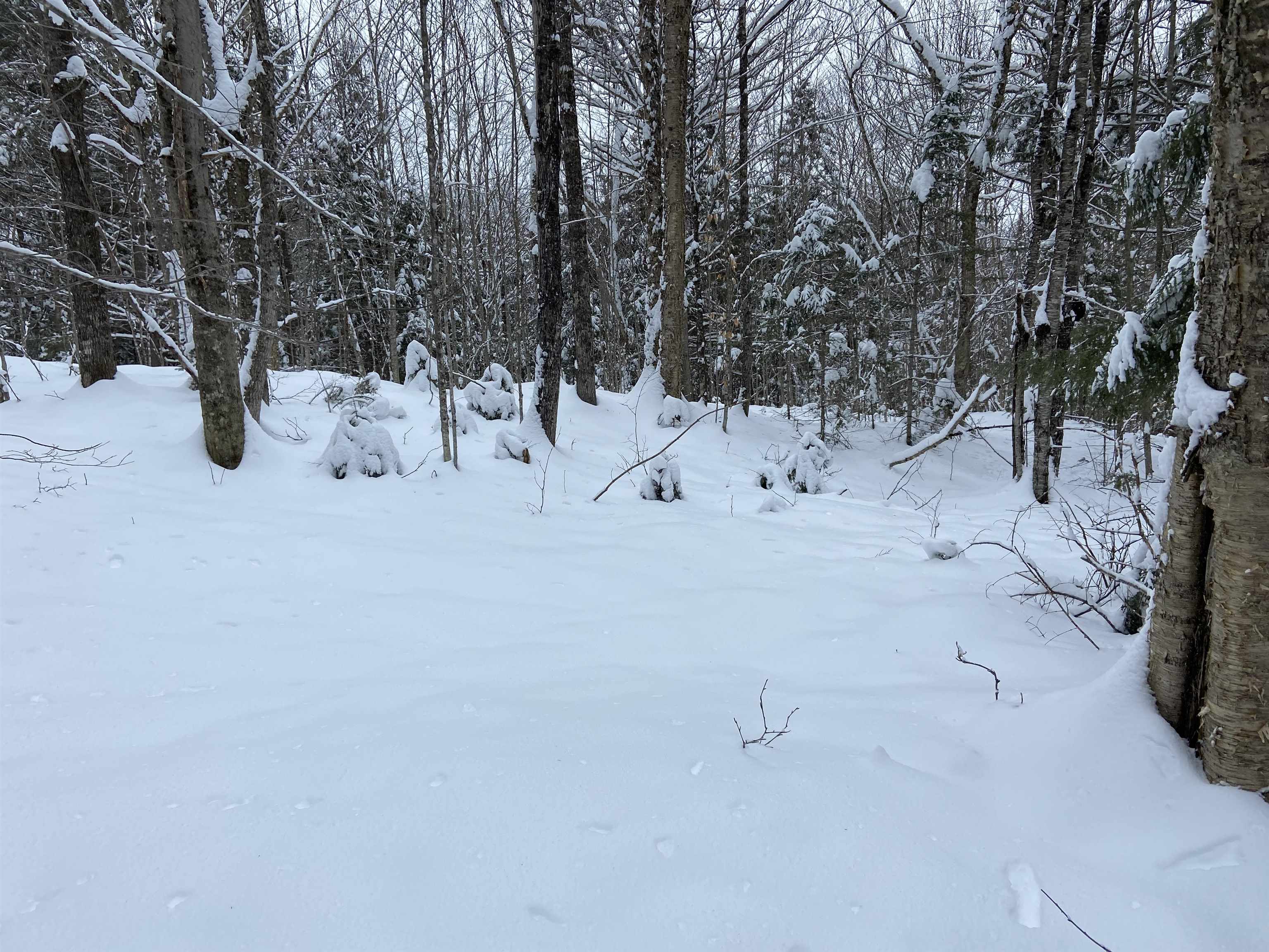 0 Fall Brook Road, Unit 4 Lyndonville, VT 05851 - Photo 7 of 60