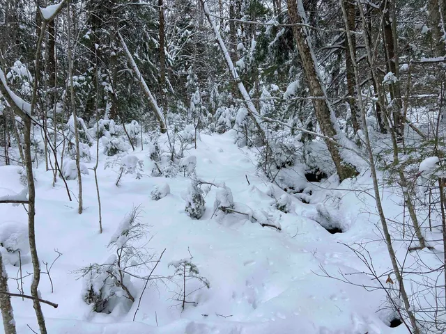 $75,000 | 0 Fall Brook Road, Unit 4, Lyndonville, VT 05851