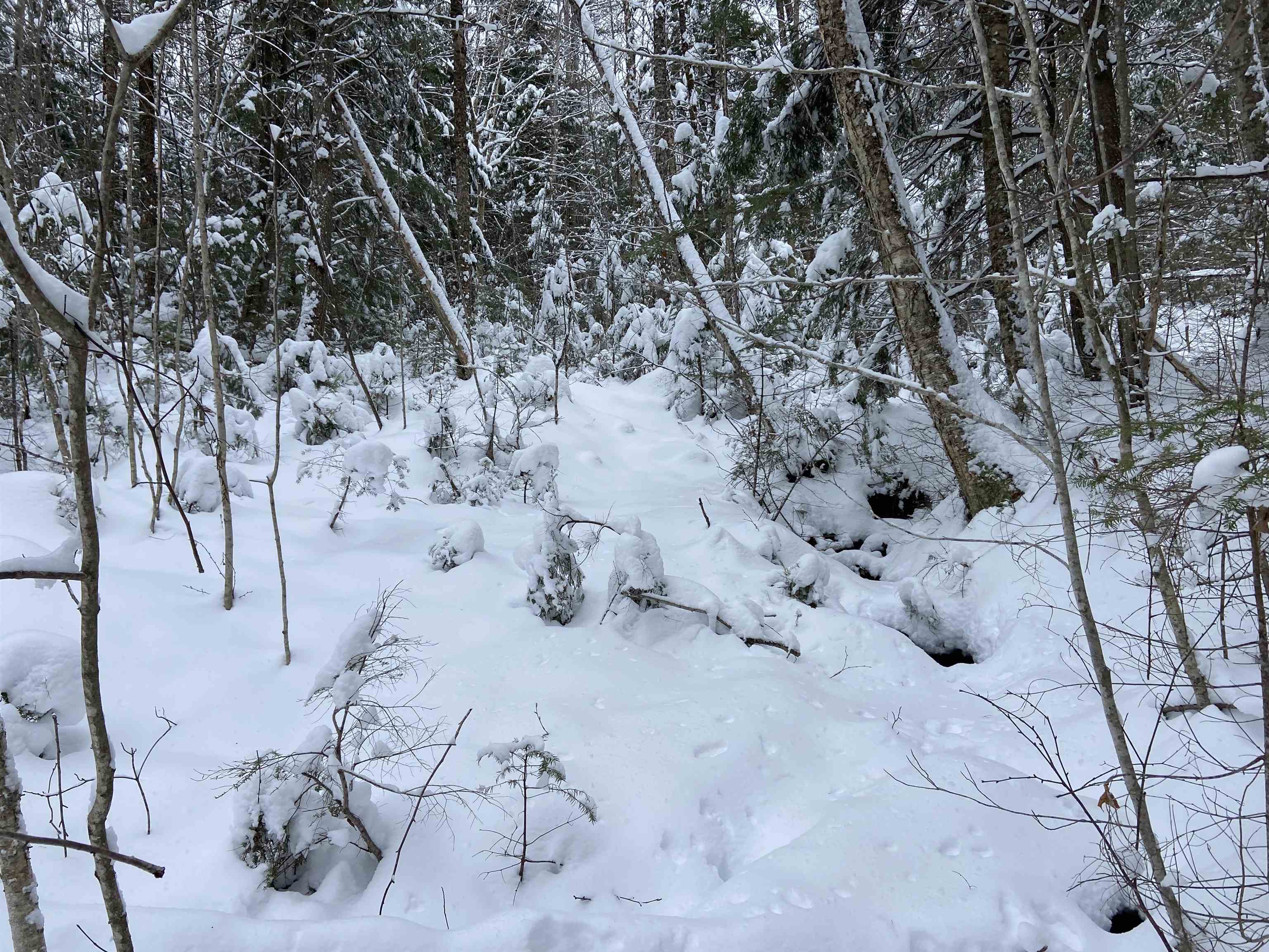 0 Fall Brook Road, Unit 4 Lyndonville, VT 05851 - Photo 8 of 60