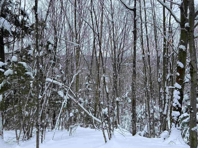 $75,000 | 0 Fall Brook Road, Unit 4, Lyndonville, VT 05851