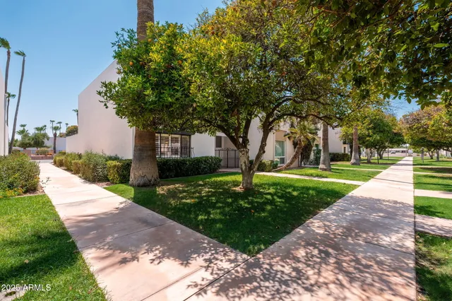 a park view with large trees