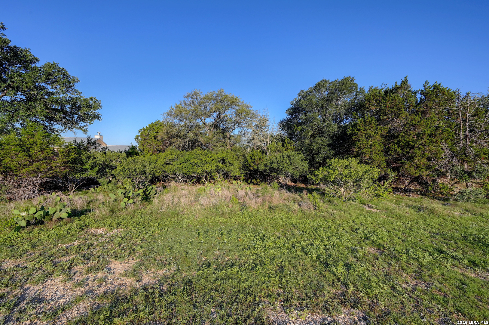 315 Rittimann Road Spring Branch, TX 78070 - Photo 27 of 51