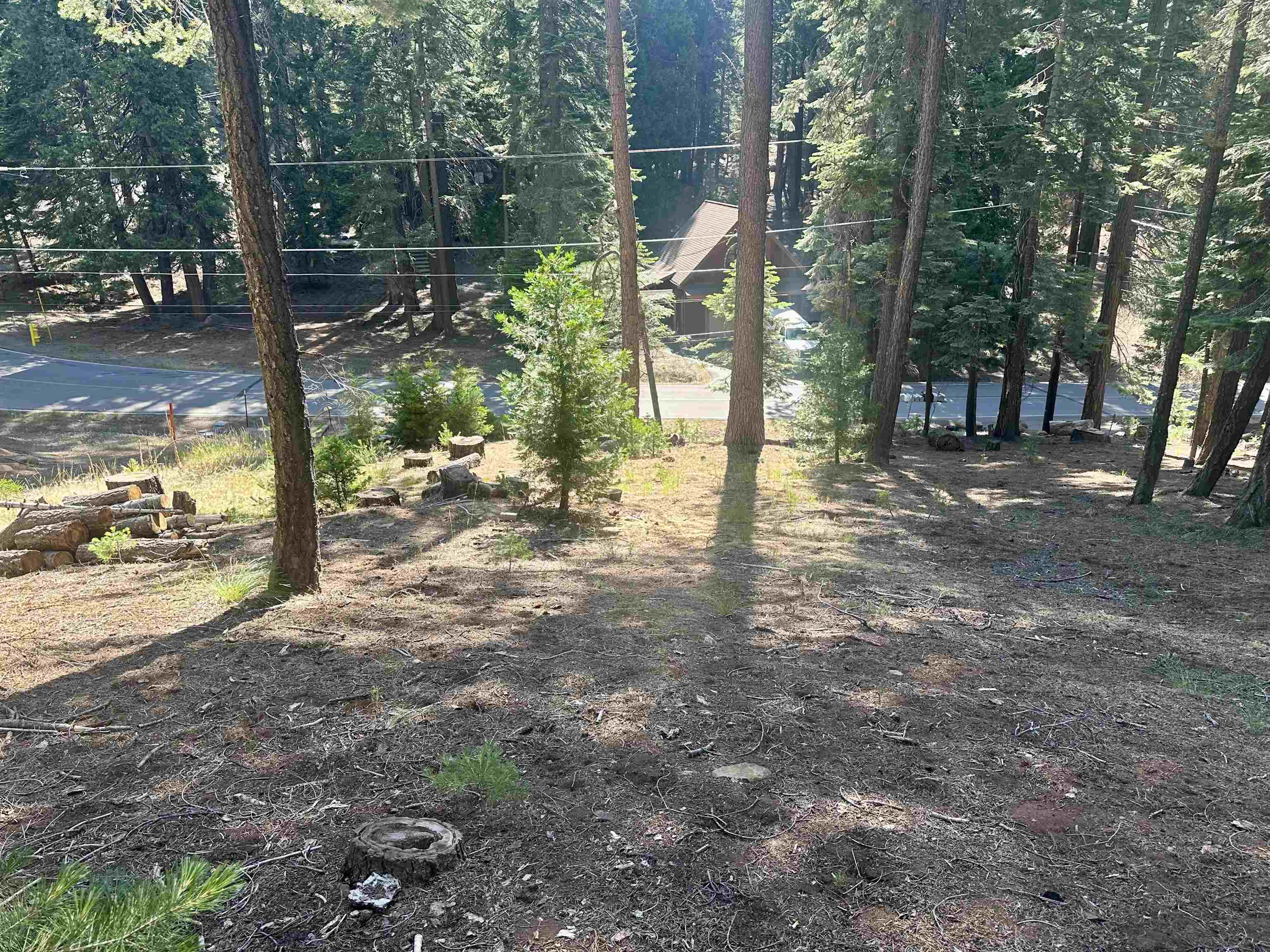 623 Cedar Canyon Road Lake Almanor, CA 96137 - Photo 2 of 4 a view of a yard with large trees