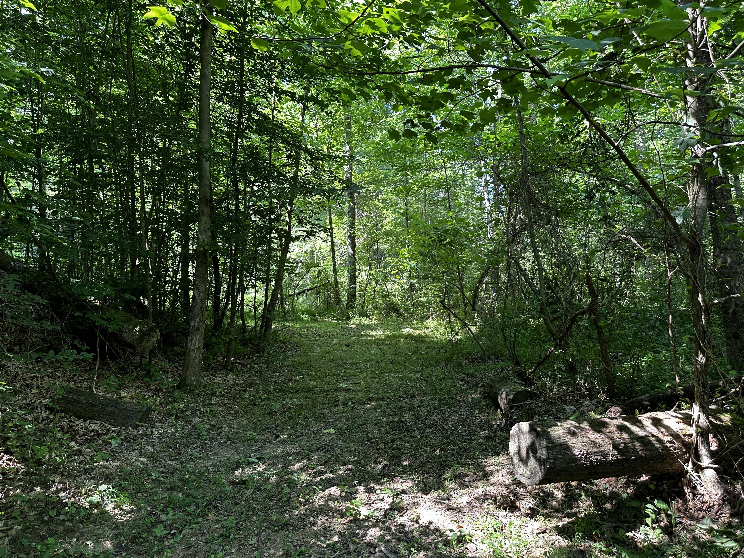 1101 Hull Road, Unit TRACT 9 WOODS WAYNE FOREST) Patriot, OH 45658 - Photo 37 of 61 20240621_150428249_iOS