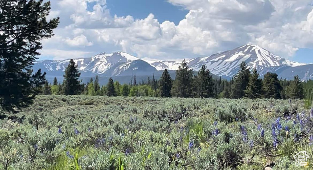 4913 Pinecrest Road, Unit 313 Evanston, UT 82930 - Photo 1 of 1 Property view of mountains with a view of trees