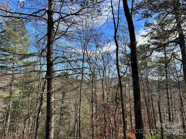 $95,000 | 625 White Water Way, Unit 25, Marshall, NC 28753