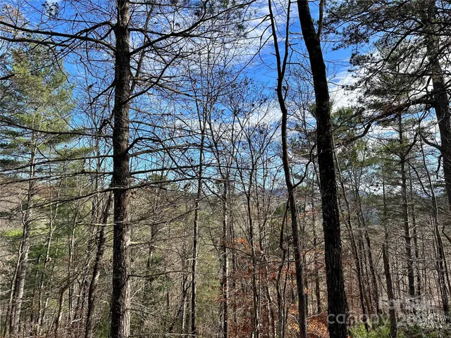 $95,000 | 625 White Water Way, Unit 25, Marshall, NC 28753