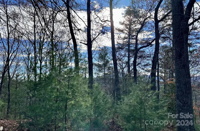 $95,000 | 625 White Water Way, Unit 25, Marshall, NC 28753