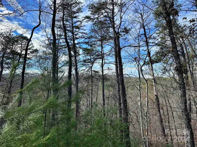 $95,000 | 625 White Water Way, Unit 25, Marshall, NC 28753