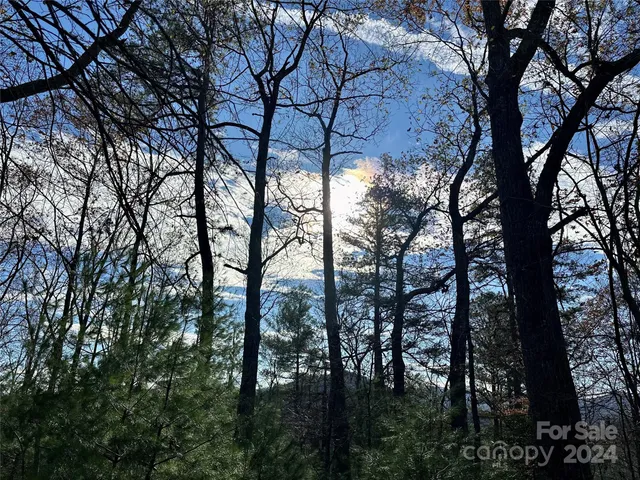 $95,000 | 625 White Water Way, Unit 25, Marshall, NC 28753