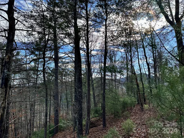 $95,000 | 625 White Water Way, Unit 25, Marshall, NC 28753