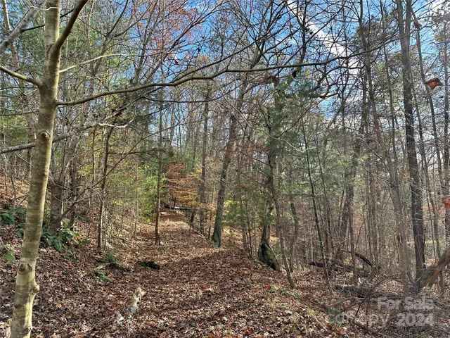 $95,000 | 625 White Water Way, Unit 25, Marshall, NC 28753