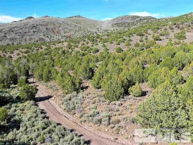 a view of a yard with a tree