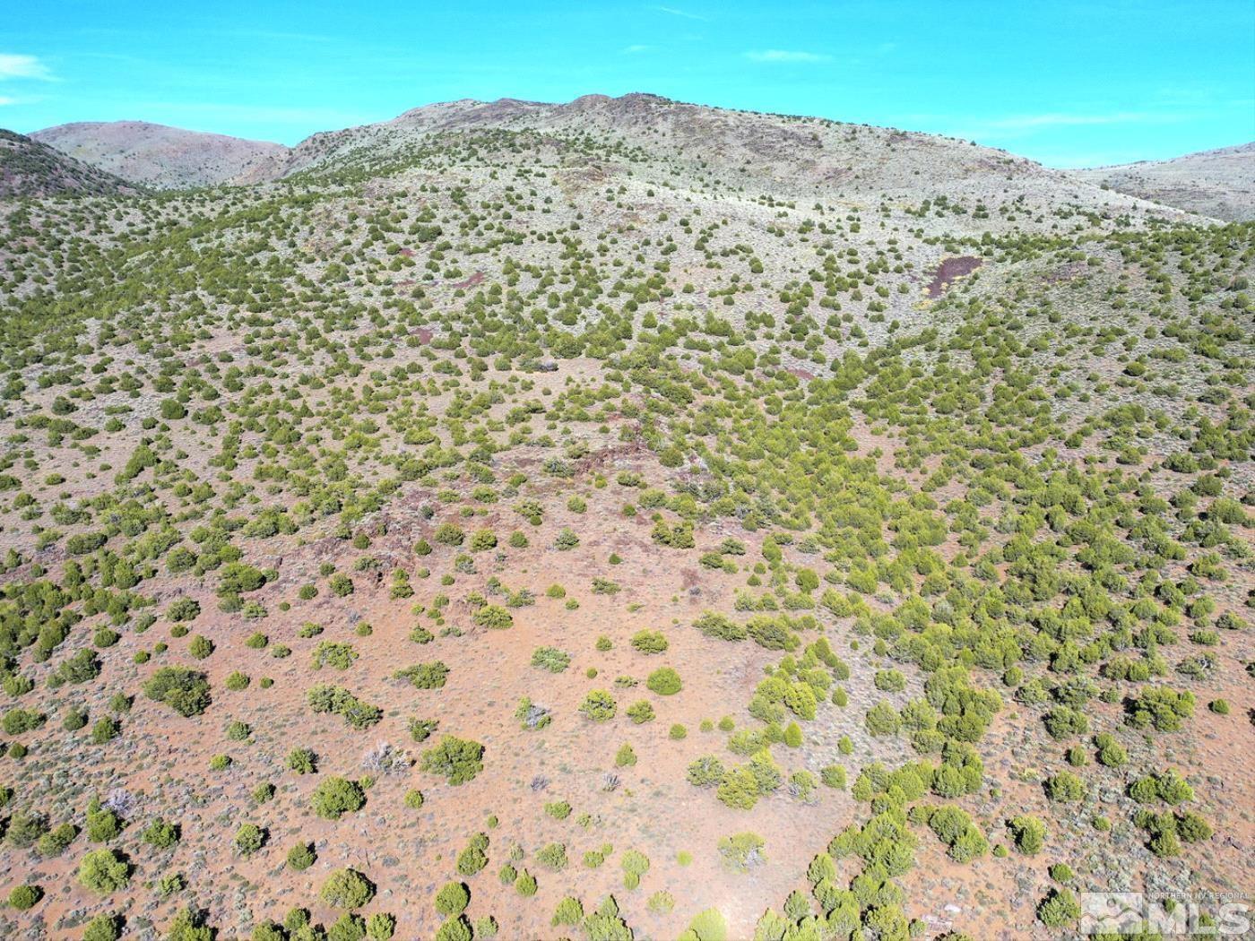 Wilcox Ranch Reno, NV 89510 - Photo 11 of 22 a view of a yard with a mountain