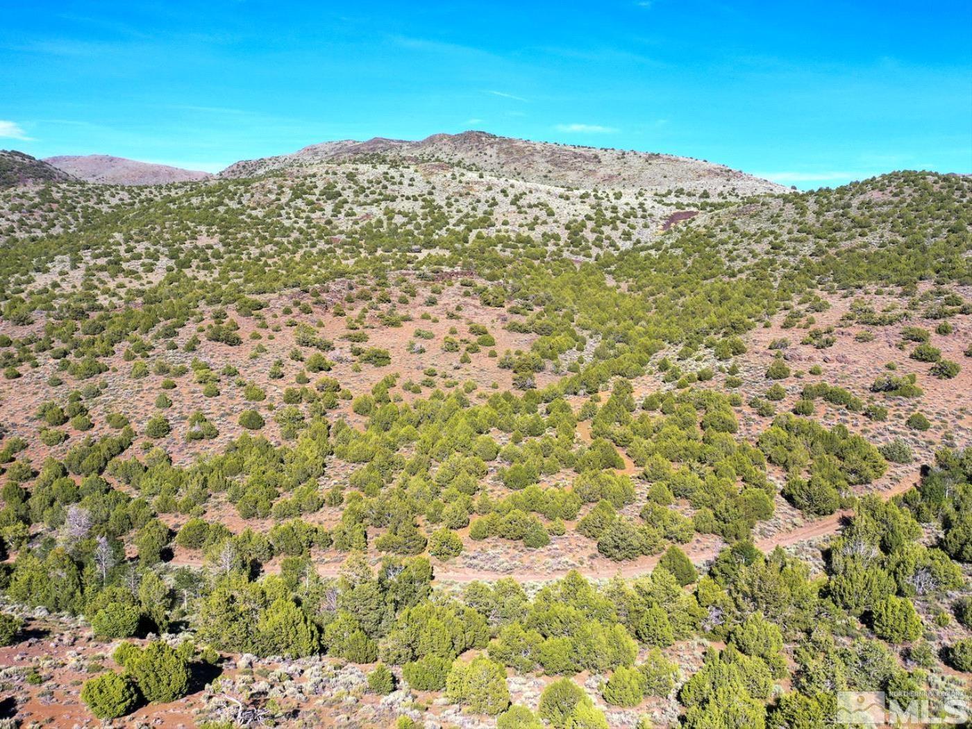 Wilcox Ranch Reno, NV 89510 - Photo 14 of 22 a view of a large building with a city view