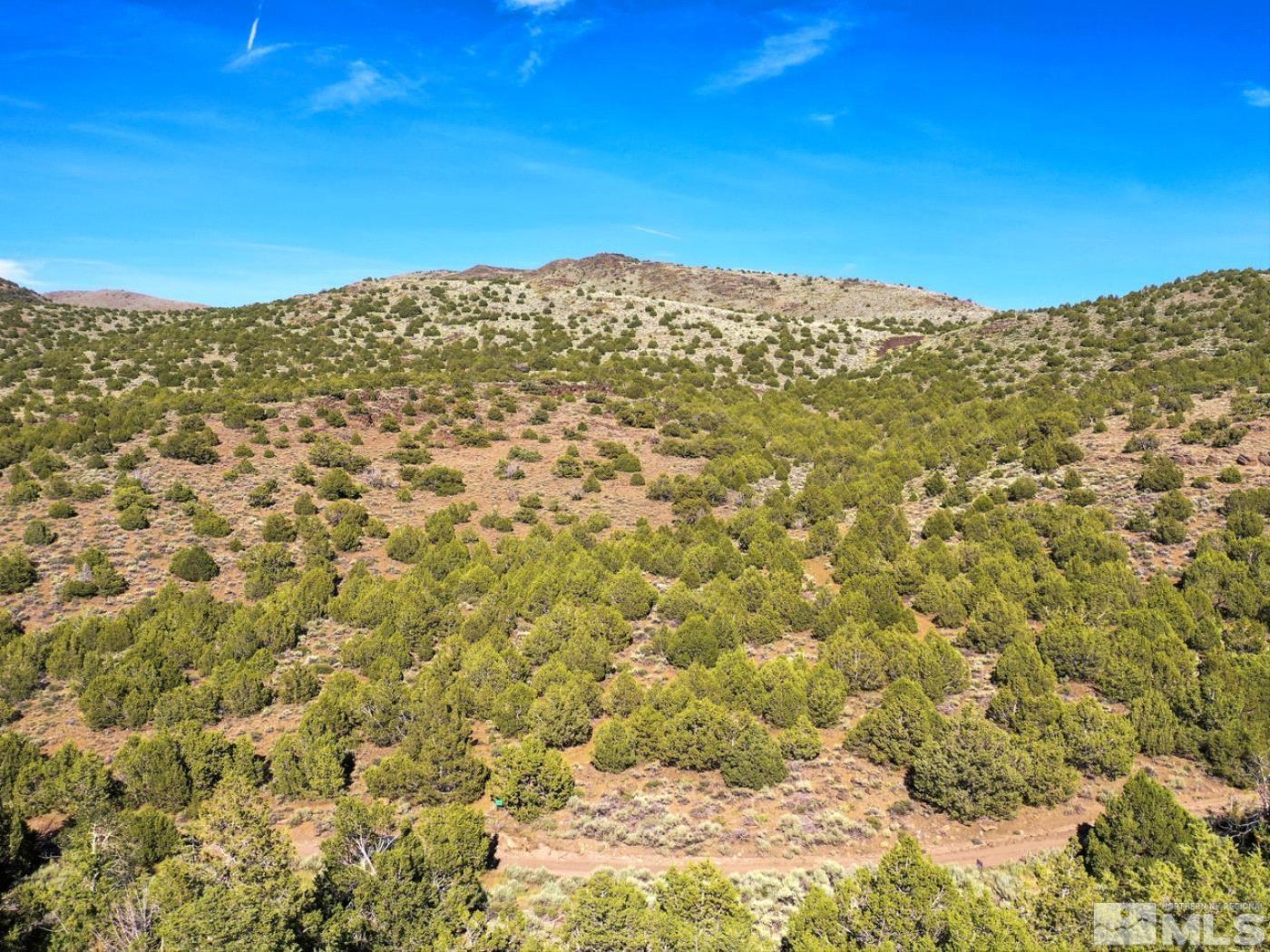 Wilcox Ranch Reno, NV 89510 - Photo 15 of 22 a view of a large window