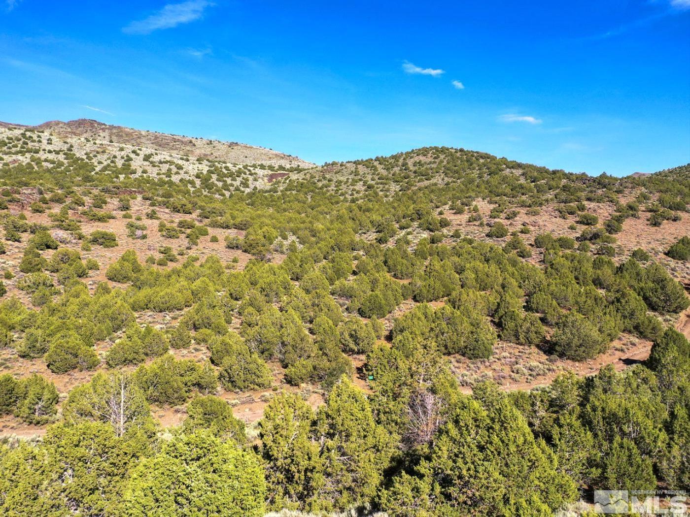 Wilcox Ranch Reno, NV 89510 - Photo 16 of 22