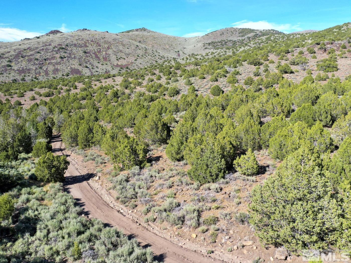 Wilcox Ranch Reno, NV 89510 - Photo 17 of 22 a view of a yard with a tree