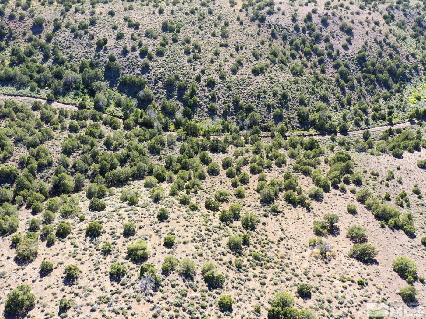 Wilcox Ranch Reno, NV 89510 - Photo 18 of 22 a view of a field