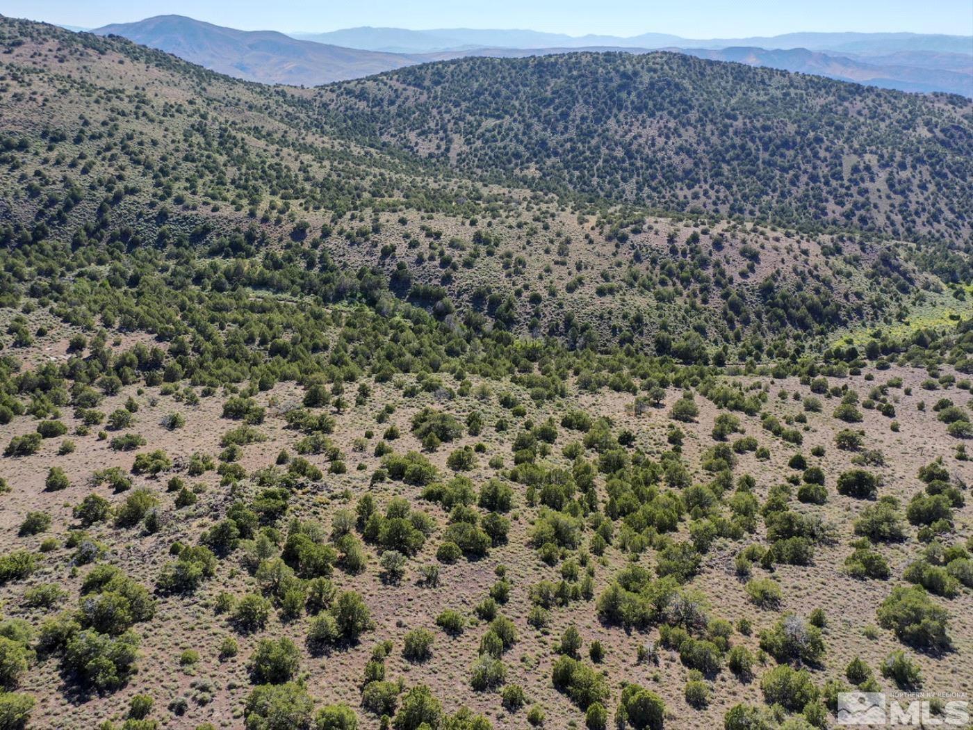 Wilcox Ranch Reno, NV 89510 - Photo 19 of 22 a view of a field with a mountain in the background
