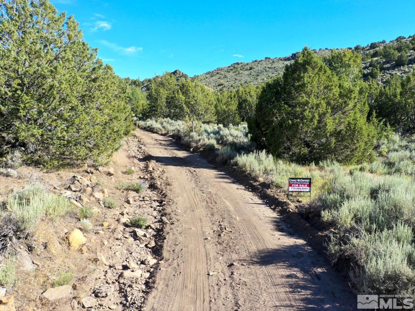 Wilcox Ranch Reno, NV 89510 - Photo 20 of 22 a view of a yard with a tree