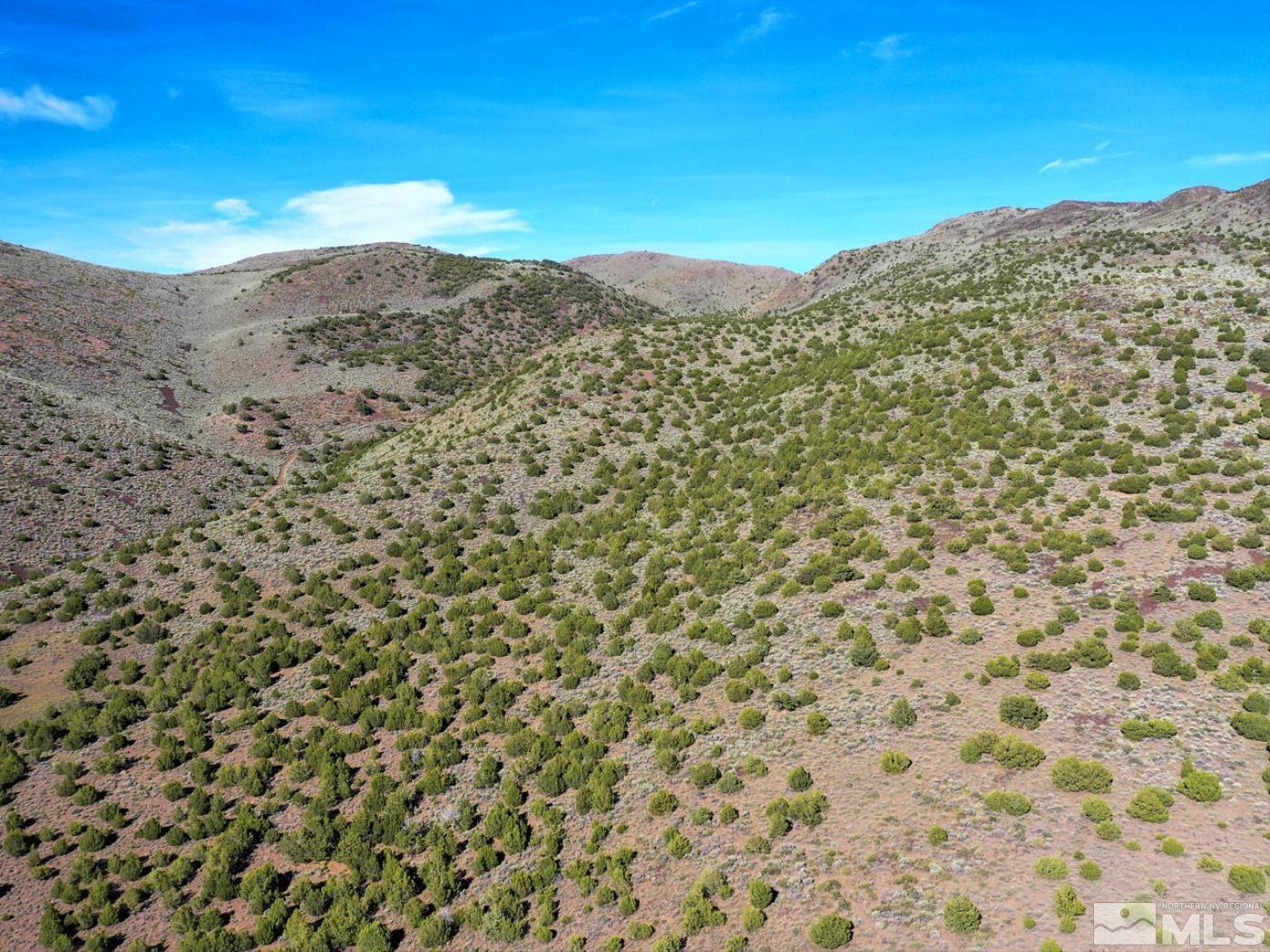 Wilcox Ranch Reno, NV 89510 - Photo 3 of 22 a view of a mountain in the distance