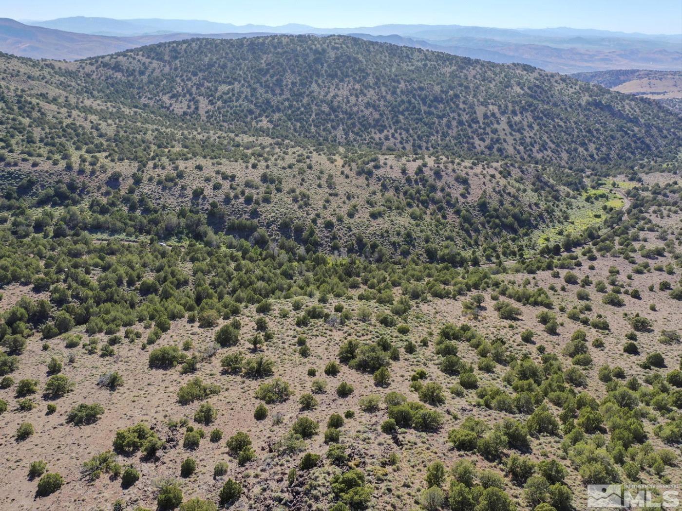 Wilcox Ranch Reno, NV 89510 - Photo 5 of 22 a view of a field with trees in the background