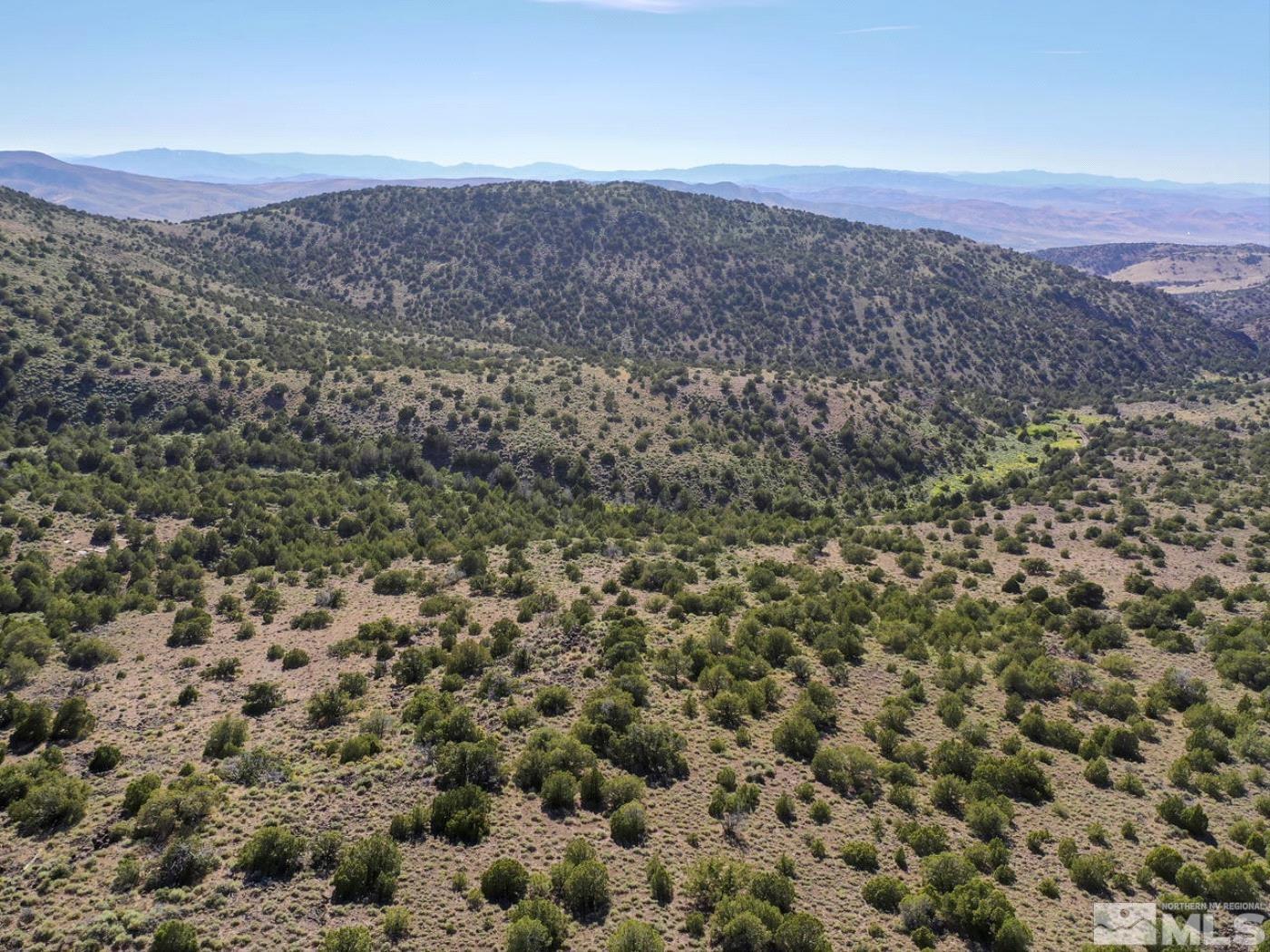 Wilcox Ranch Reno, NV 89510 - Photo 6 of 22 a view of a field with mountains in the background