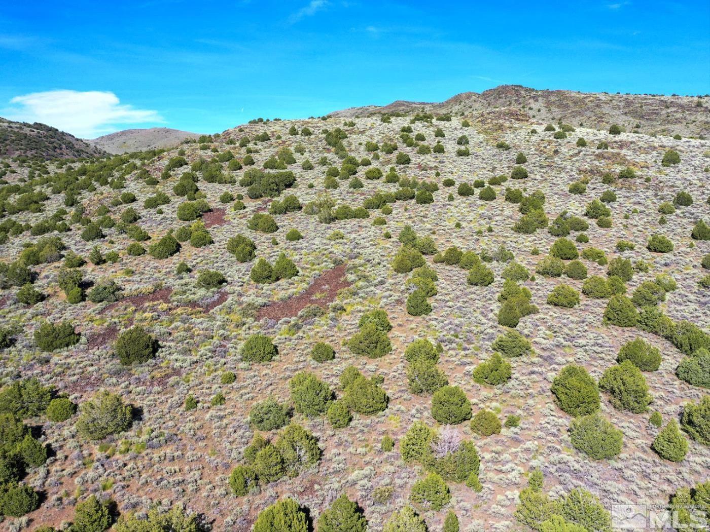 Wilcox Ranch Reno, NV 89510 - Photo 8 of 22 a view of a large building with mountains in the background