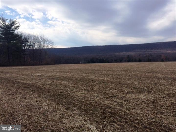 9125 Slateville Road Kempton, PA 19529 - Photo 2 of 3 Gallery Image 2