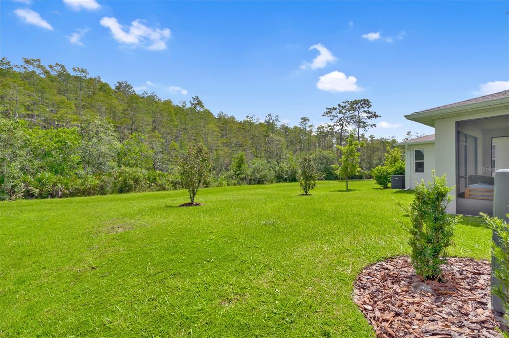 4071 Southern Vista Loop St. Cloud, FL 34772 - Photo 33 of 37