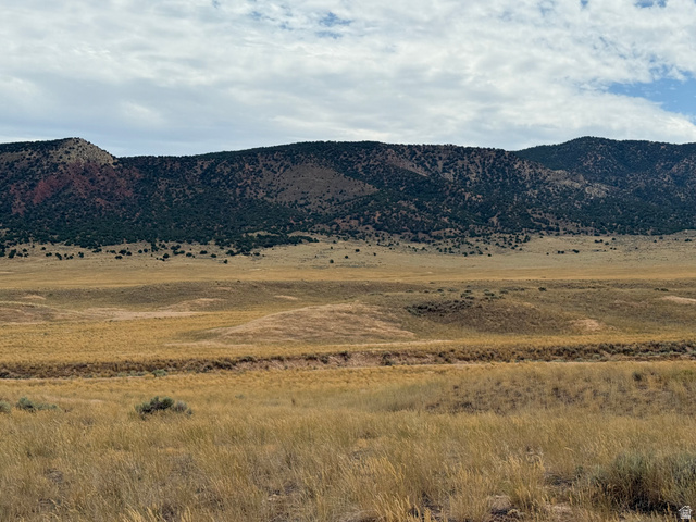 16 Old Dam Road, Unit 16 Levan, UT 84639 - Photo 3 of 9