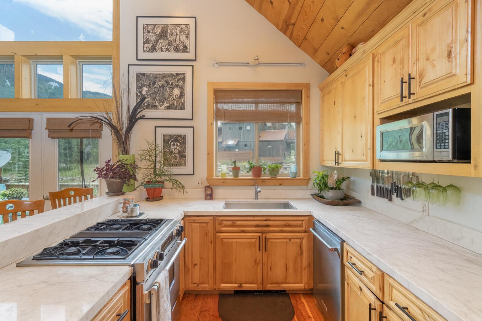 456 Silverglance Way Rico, CO 81332 - Photo 5 of 15 Rendering - Primary Kitchen