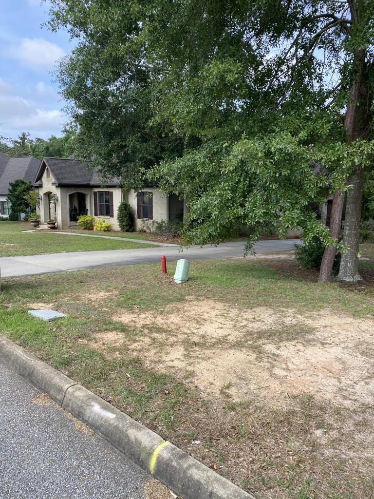 110 Riveredge Court Headland, AL 36345 - Photo 3 of 8