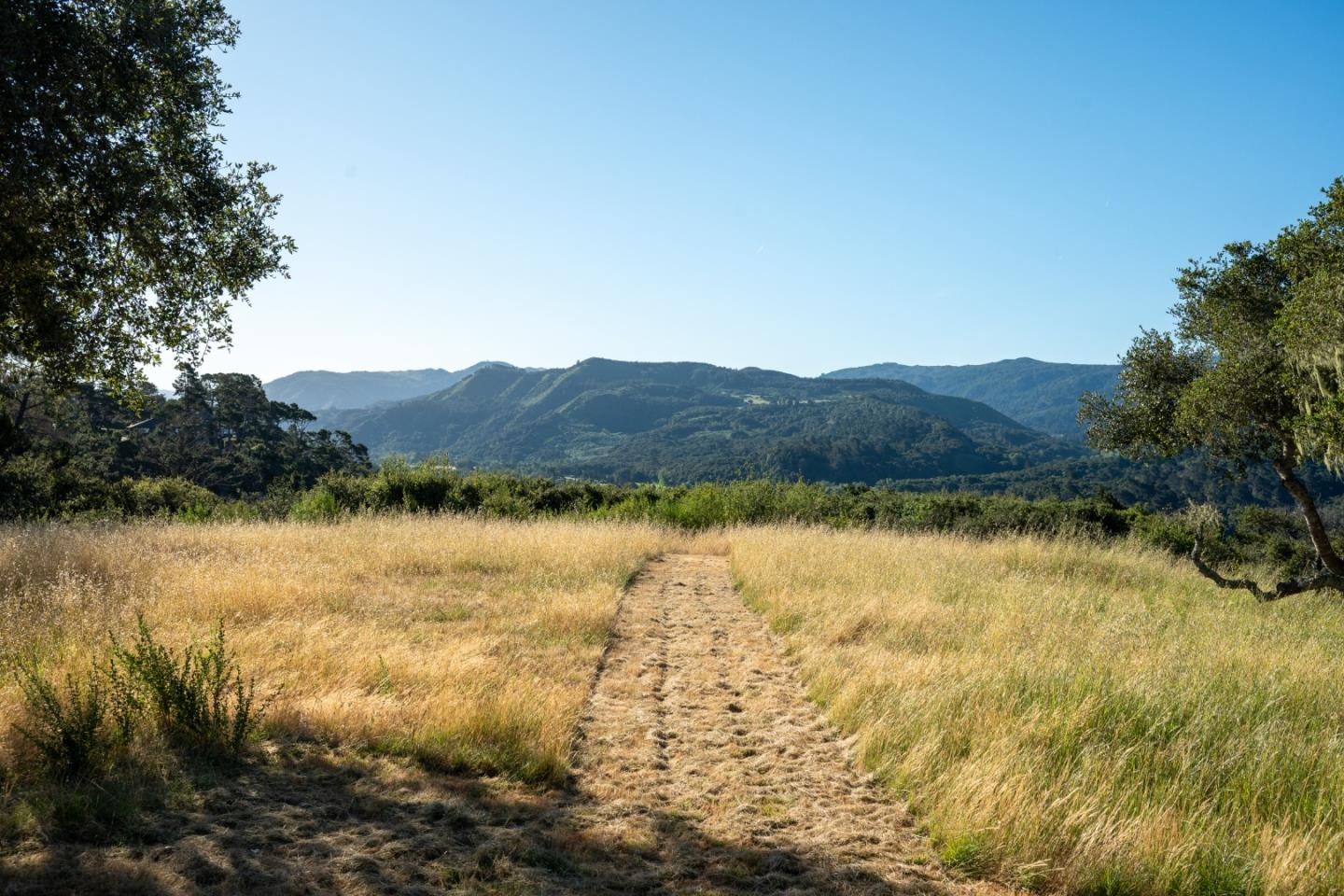 5155 Carmel Valley Road Carmel, CA 93923 - Photo 25 of 48