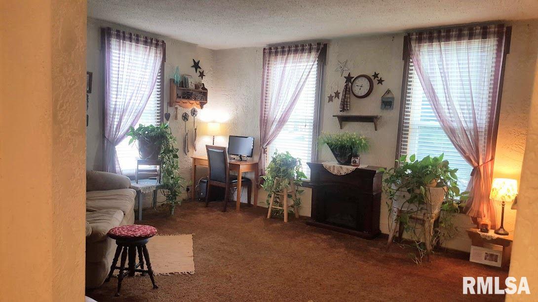 2004 13th Street Viola, IL 61486 - Photo 8 of 15 Gallery Image 8