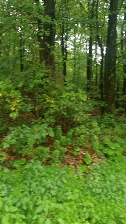 0 Oaks Point Road Blairsville, PA 15717 - Photo 1 of 1 Gallery Image 1