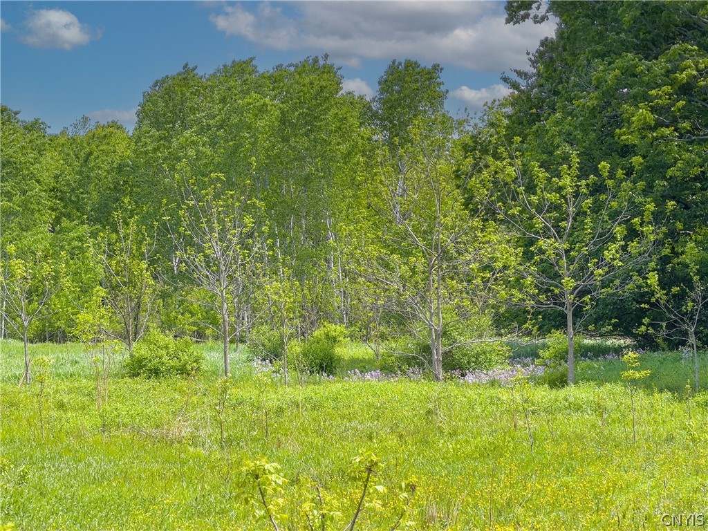 4 County Route Fulton, NY 13069 - Photo 26 of 37