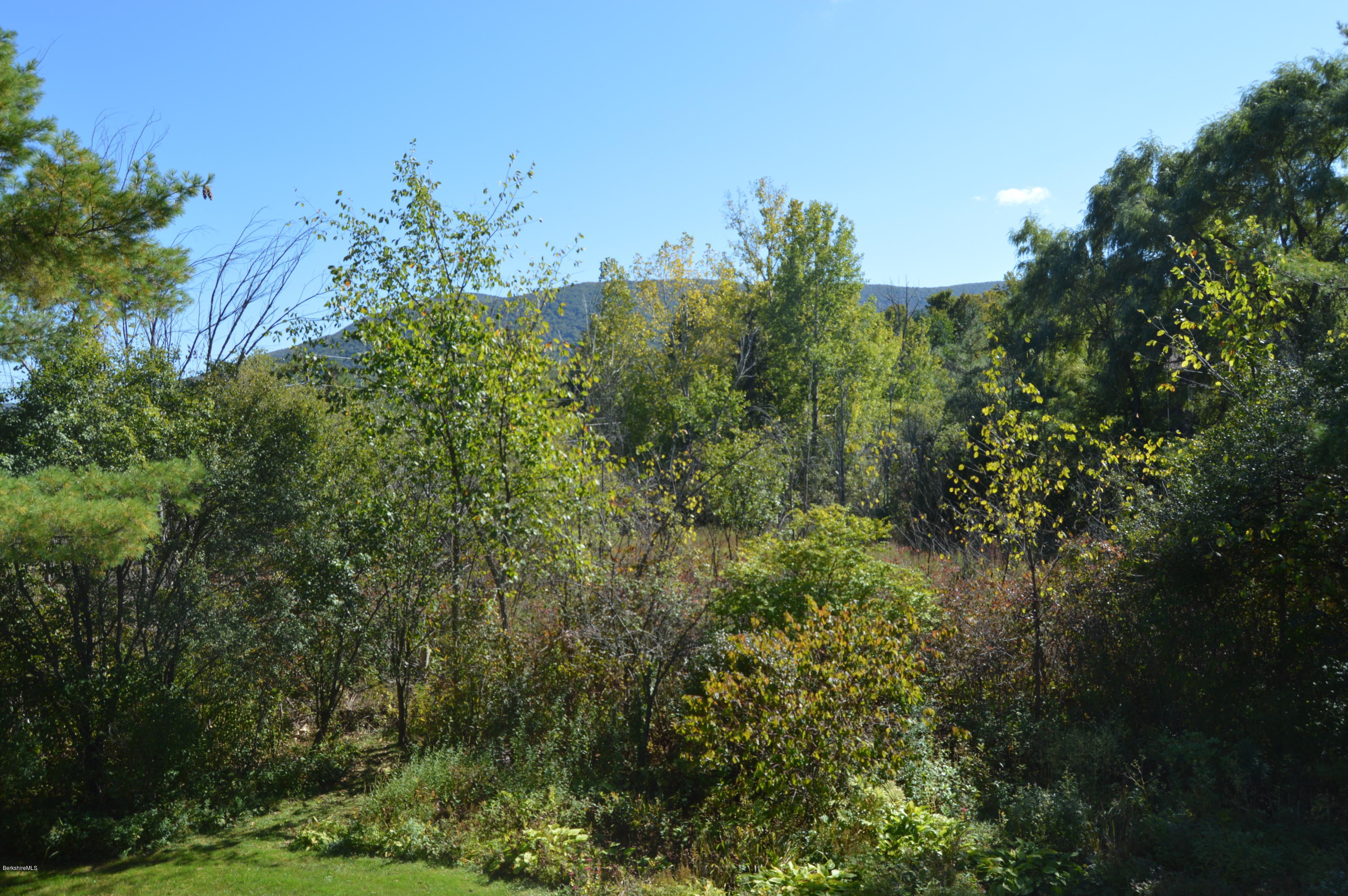 215 Stratton Road, Unit A Williamstown, MA 01267 - Photo 21 of 29 View from deck