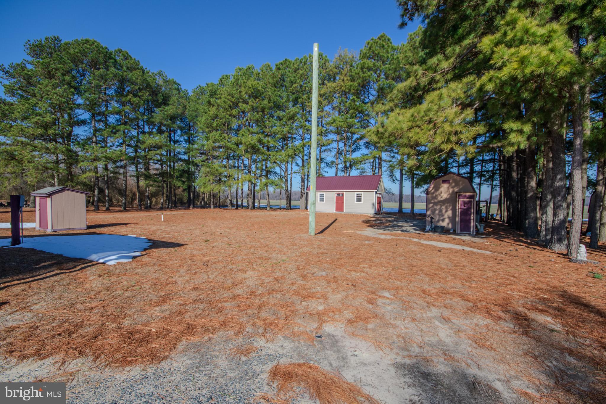 6761 Sharptown Road Laurel, DE 19956 - Photo 27 of 34 a street view with large trees