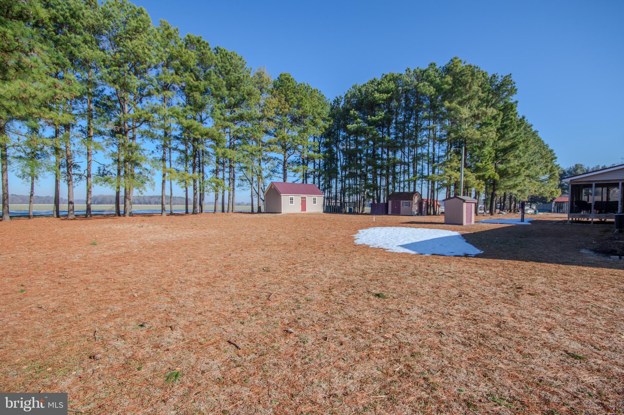 6761 Sharptown Road Laurel, DE 19956 - Photo 28 of 34 a view of road with large trees