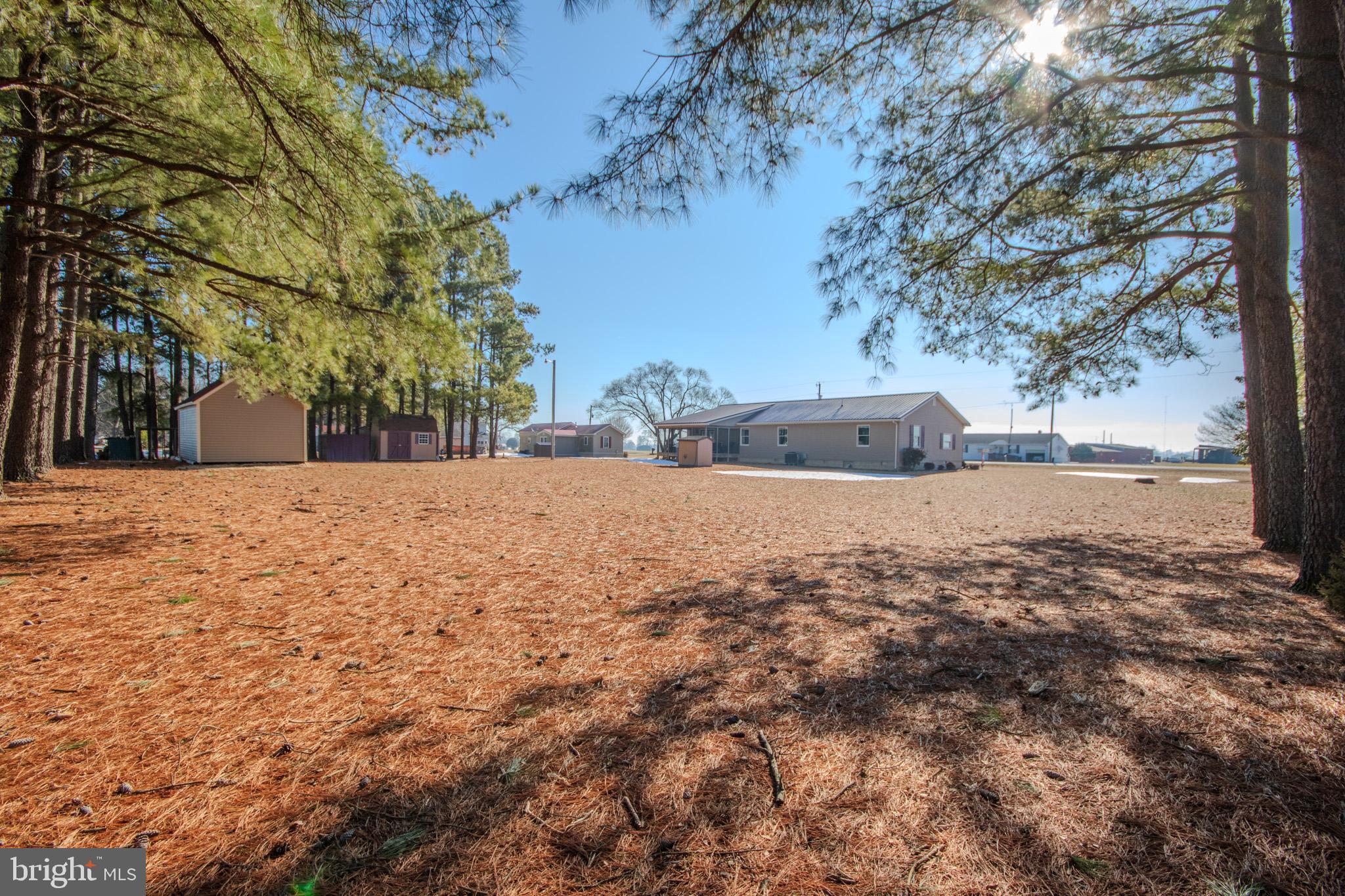 6761 Sharptown Road Laurel, DE 19956 - Photo 29 of 34 a view of large tree with a yard
