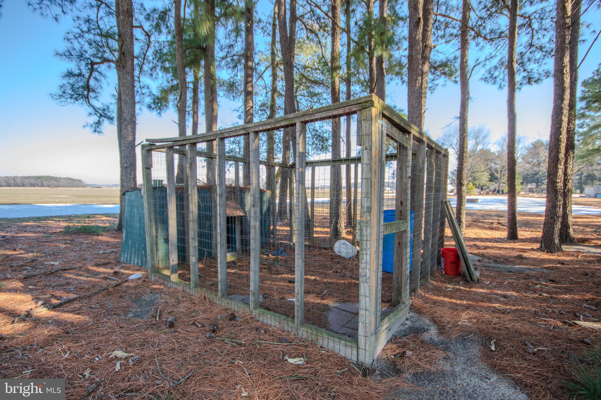 6761 Sharptown Road Laurel, DE 19956 - Photo 34 of 34 a view of small park with large trees